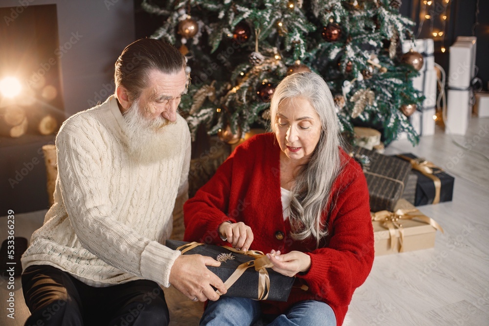 Senior man presenting christmas gift to his wife sitting near christmas tree