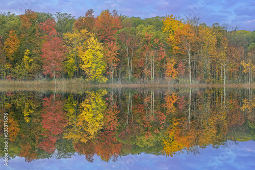 Autumn landscape at dawn of the shoreline of Deep Lake with mirrored reflections in calm water, Yankee Springs State Park, Michigan, USA