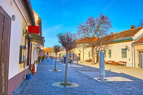 The central Dumtsa Jeno Street in Szentendre, Hungary photo