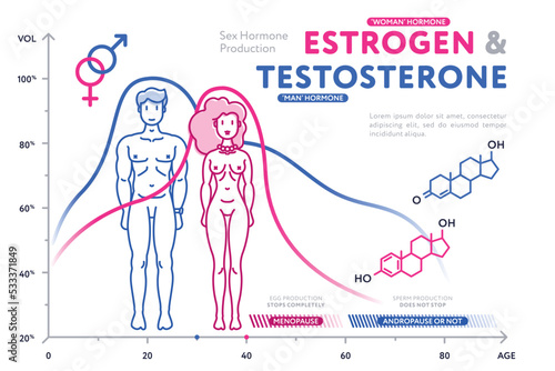 Creative representative charts showing male hormone of testosterone and female hormone estrogen in comparison.