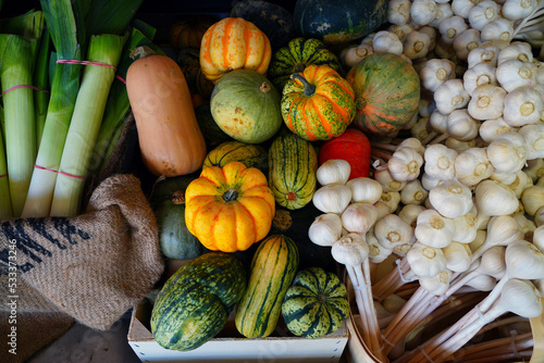 Wallpaper Mural Colorful pumpkins in the fall Torontodigital.ca