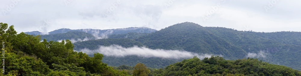 Fog flow through Khaoyai National Park mountain valley in the morning light during the rainy season, Thailand