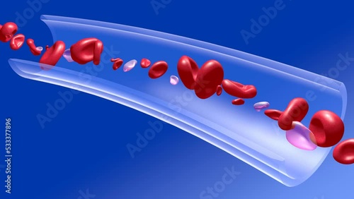 Anatomical 3d animation of red blood cells in blood circulation. Image on a blood vessel. photo