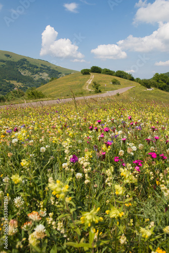 Panoramic view of mountain road in the spring wild flowers in the Umbria region Italy
