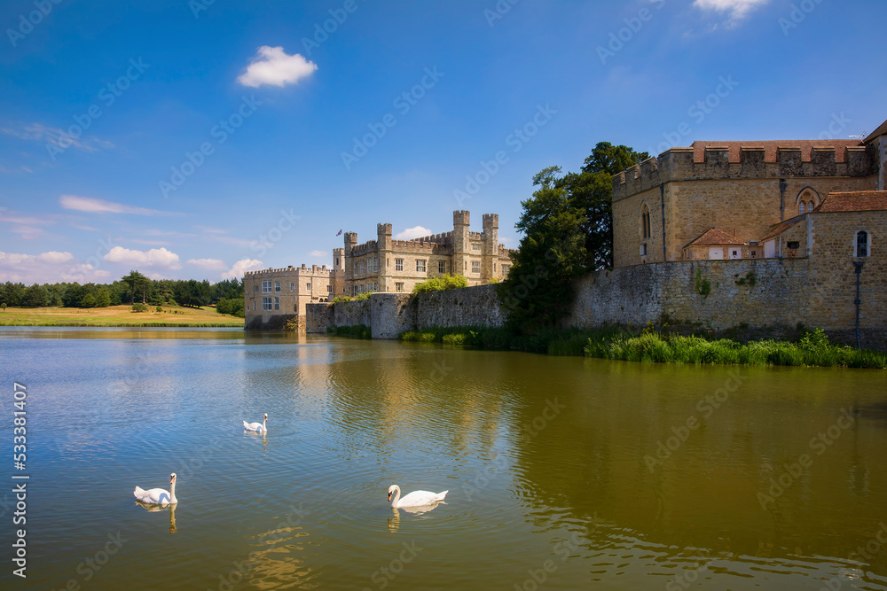 Swans in the Lake Sorrounding Leeds Castle in Kent, England