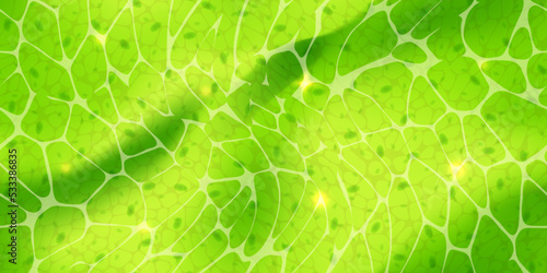 Abstract green wallpaper or plant cells with nuclears texture under a microscope seamless pattern. Leaf tissue layer vector macro illustration. Microbiology background. Scientific structure.