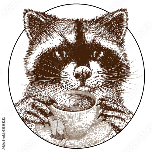 Vector illustration linear graphic raccoon with a cup of tea