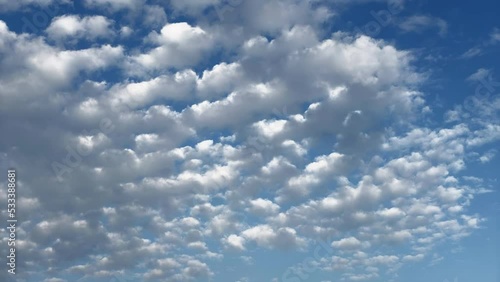 青空を流れるひつじ雲のタイムラプス映像 高積雲 クラウドスケープ 日本 photo