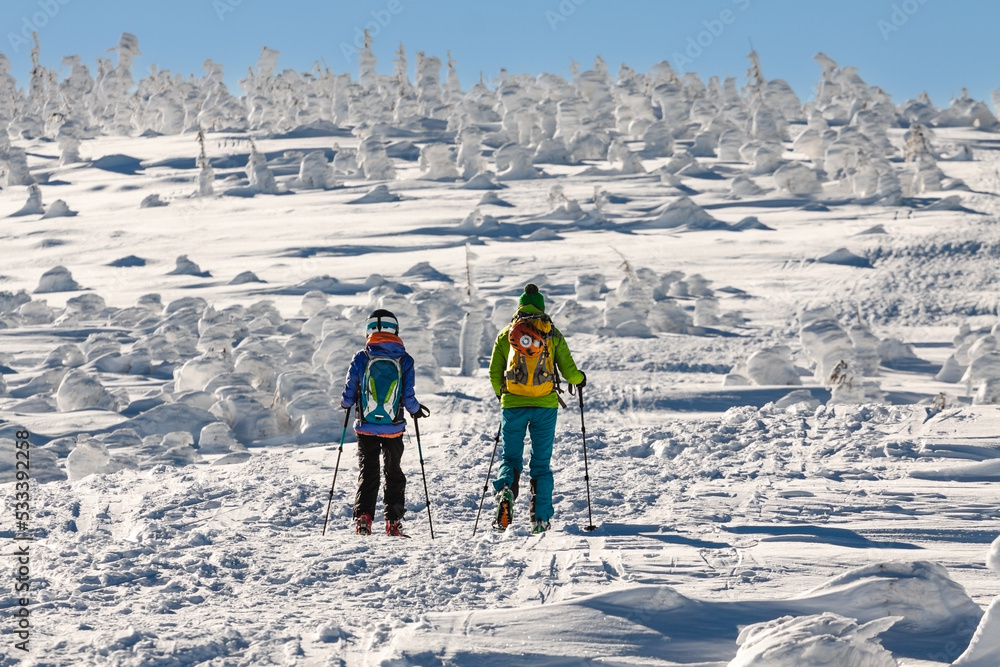 ski touring beskidy zimowa górska wycieczka na nartach - obrazy, fototapety, plakaty 