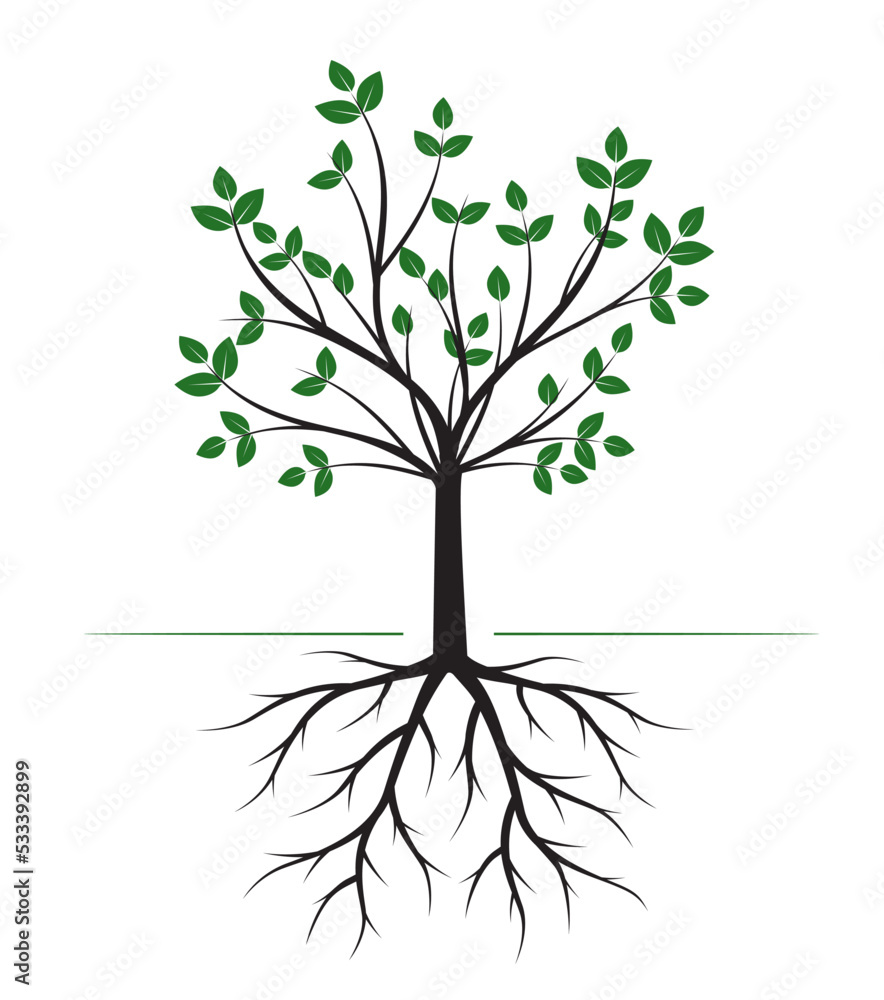 Natural shape of Tree with Roots. Vector Illustration. Drawing plant isolated. Natural shape of Tree with Roots. Vector Illustration. Drawing plant isolated.