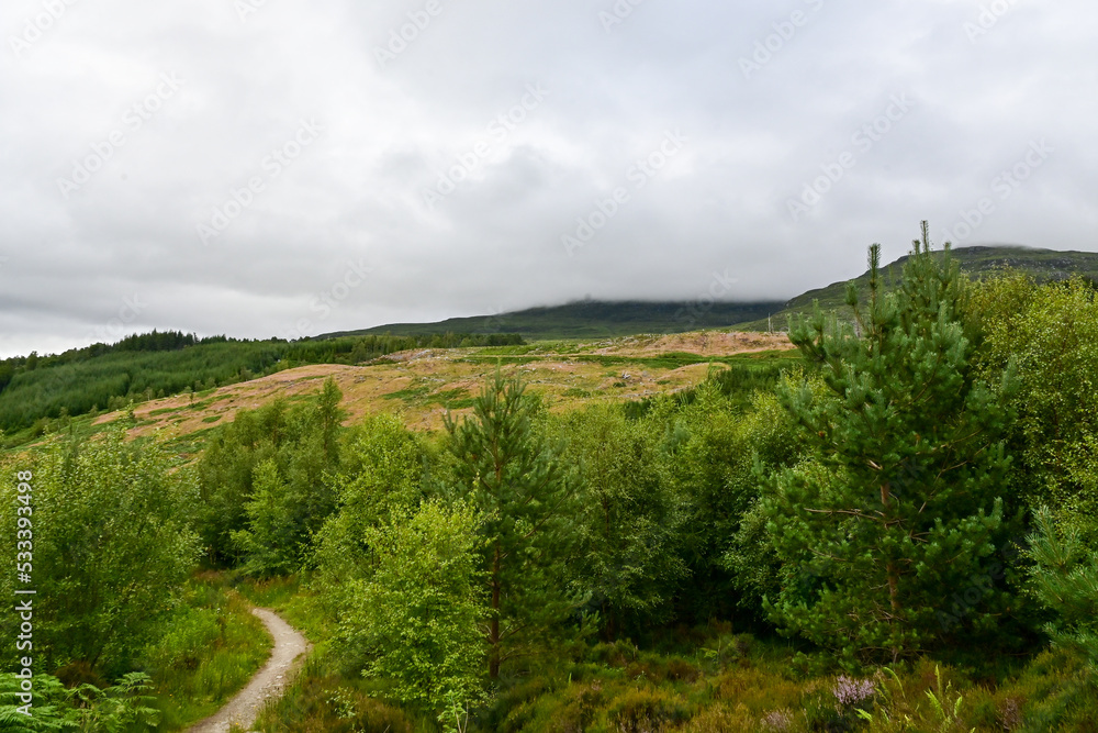 Wolkenverhangener Berg mit Bäumen in den Highlands von Schottland