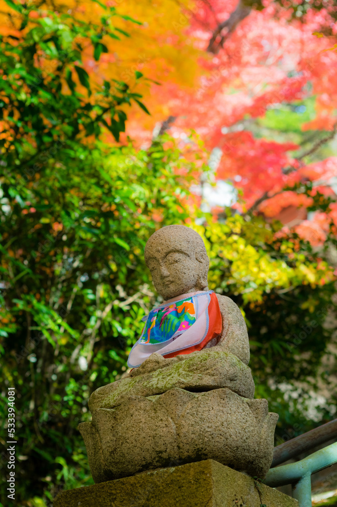 三田花山院(兵庫県三田市)の紅葉