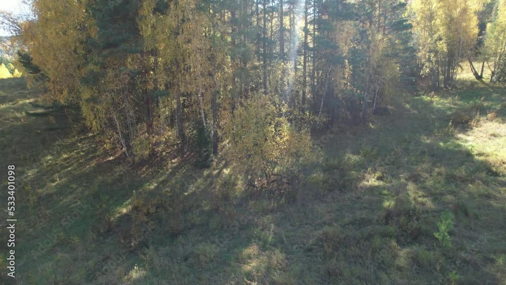 Flight over autumn forest in national park, aerial shot Flight over autumn forest in national park, aerial shot