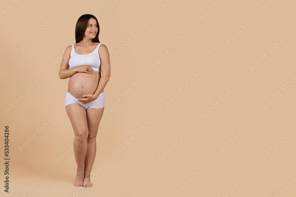 Beautiful pregnant woman in underwear touching belly while posing on beige background Beautiful pregnant woman in underwear touching belly while posing on beige background