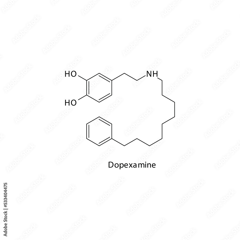Dopexamine  molecule flat skeletal structure, beta agonist, dopamine analogue used in heart failure Vector illustration on white background.