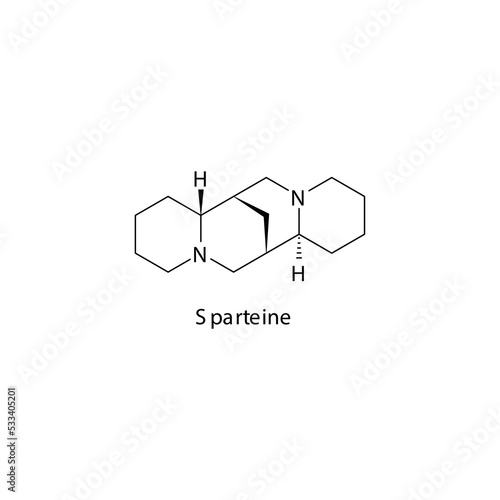 Sparteine molecule flat skeletal structure, Class Ia antiarrythmia drug - fast Na chanel blocker used in cardiac dysrythmia Vector illustration on white background.