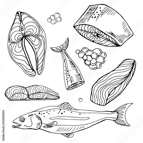 Salmon whole red fish, caviar, raw steaks and fillet realistic isolated outline vector illustration. Drawn monochrome seafood meal.