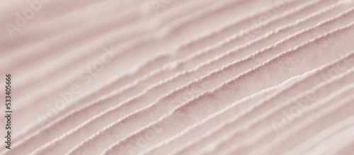 Foto Agaric mushroom gills under cap macro close up photo, depth of field photography