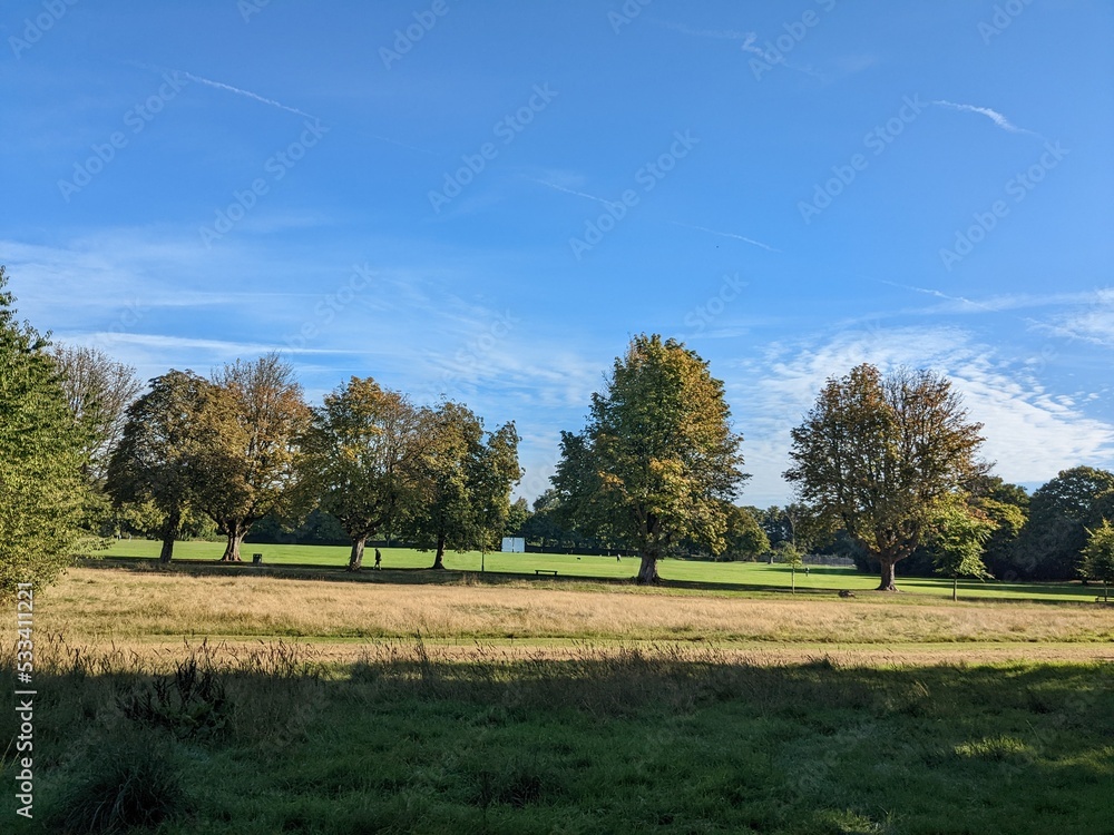 Obraz premium park landscape