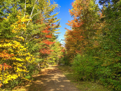 Beautiful landscape colors in foliage season  autumn scenery