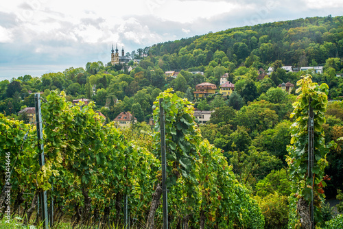 Vineyards on hills of Wurzburg abd amazing church on other hill photo
