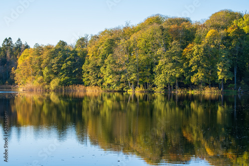 Forest lake with water reflections and autumn colors