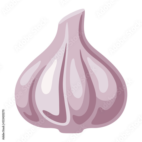 Fotografiet Illustration of garlic. Image for culinary and agriculture.