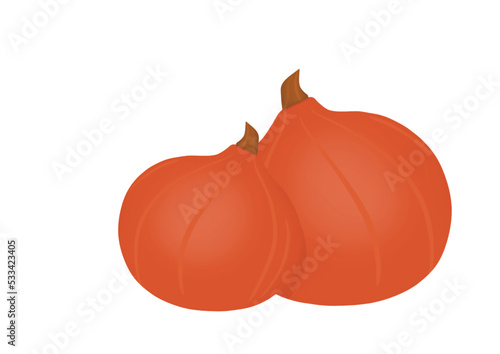 Red gourd pumpkin squash isolated on a white background. Autumn illustration photo