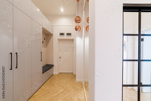 Modern interior design of the house with a corridor in white color and a wardrobe
