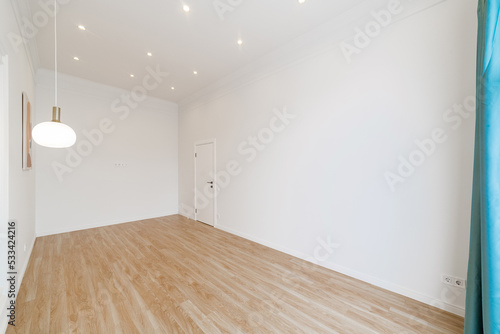 Empty, bright, new room with dark wooden floor