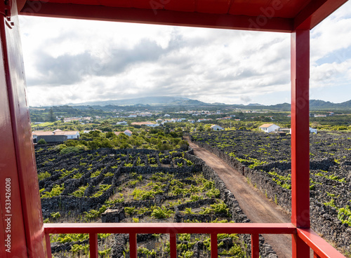 Insel Pico - Azoren: Blick von der Windmühle auf die Weingärten bei Madalena - UNESCO Welterbe photo