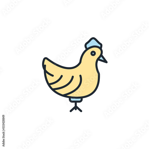poultry icons  symbol vector elements for infographic web