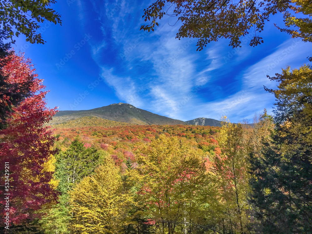Foliage season colors. Mountain and forest autumn trees