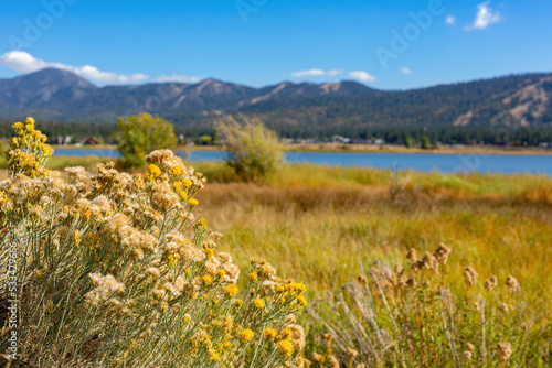 Canvas Print Sunny view of the landscape in Big bear lake