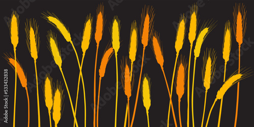 Ears of wheat. Barley cereals harvest, spike, grain, corn, agriculture, organic farming, healthy food symbol. Bakery design element. Vector illustration
