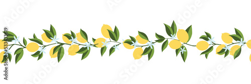 Horizontal Seamless pattern of lemons branch. Floral print. Sketch Exotic tropical citrus fresh fruit, hand drawn lemon with leaves and flowers. Vector cartoon minimalistic style illustration.