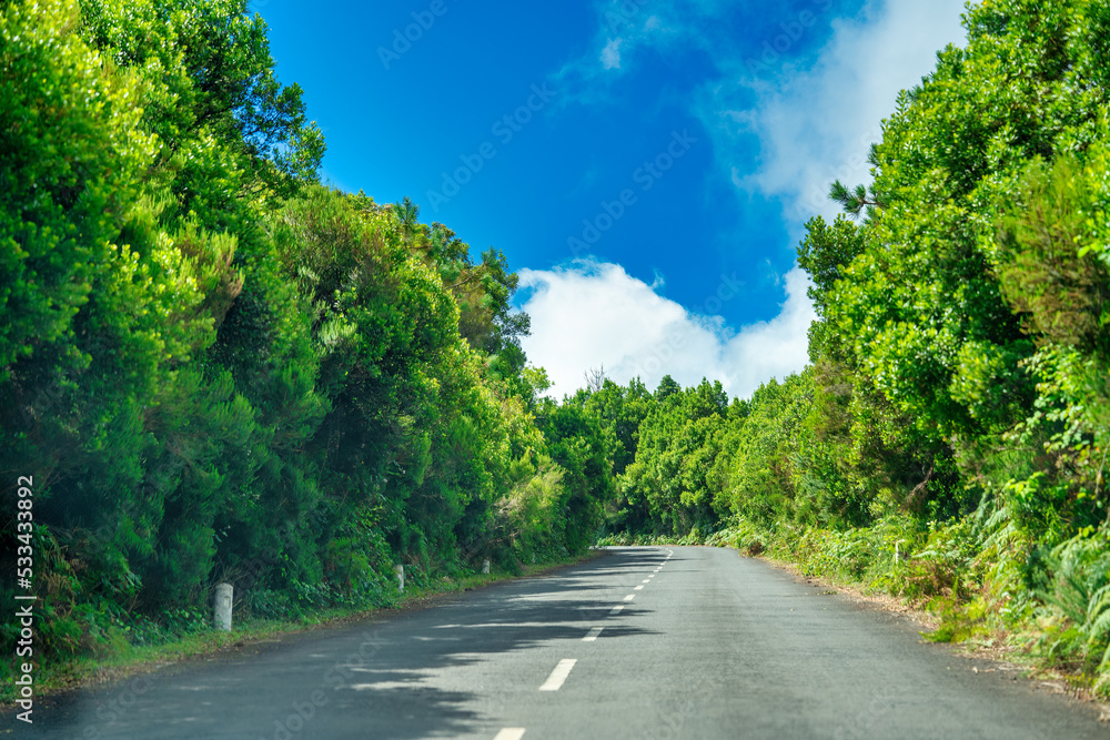 Naklejka premium Coastline road by the ocean in Madeira Island on a beautiful sunny day, Portugal