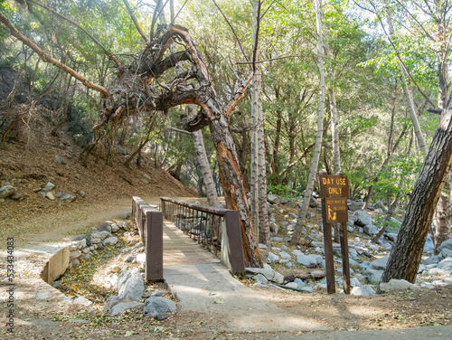 Sunny view of the beautiful Switzer Falls Trail photo