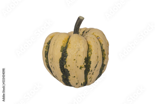 Decorative pumpkin isolated on white background