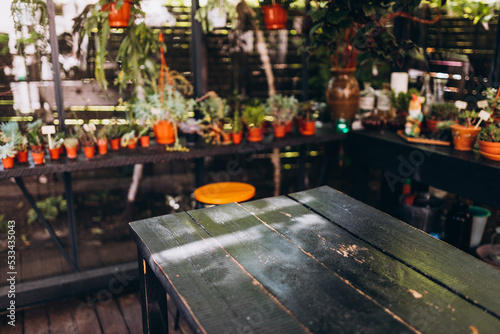 Empty Diner table in dining room. Potted plants placed at a coffee shop. Rustic wooden table with a view of restaurant backdrop, for mock up © mdyn