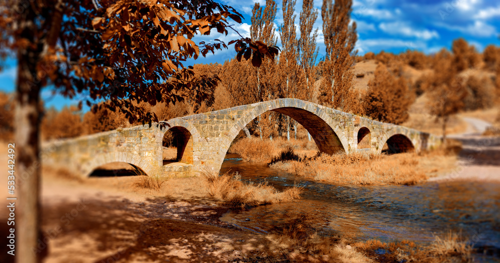 Obraz premium Puente romano sobre el río en un paisaje otoñal. Hermoso puente de piedra antiguo en un bosque otoñal al atardecer. Arquitectura otomana cerca de la ciudad de Teruel, Aragón,España.