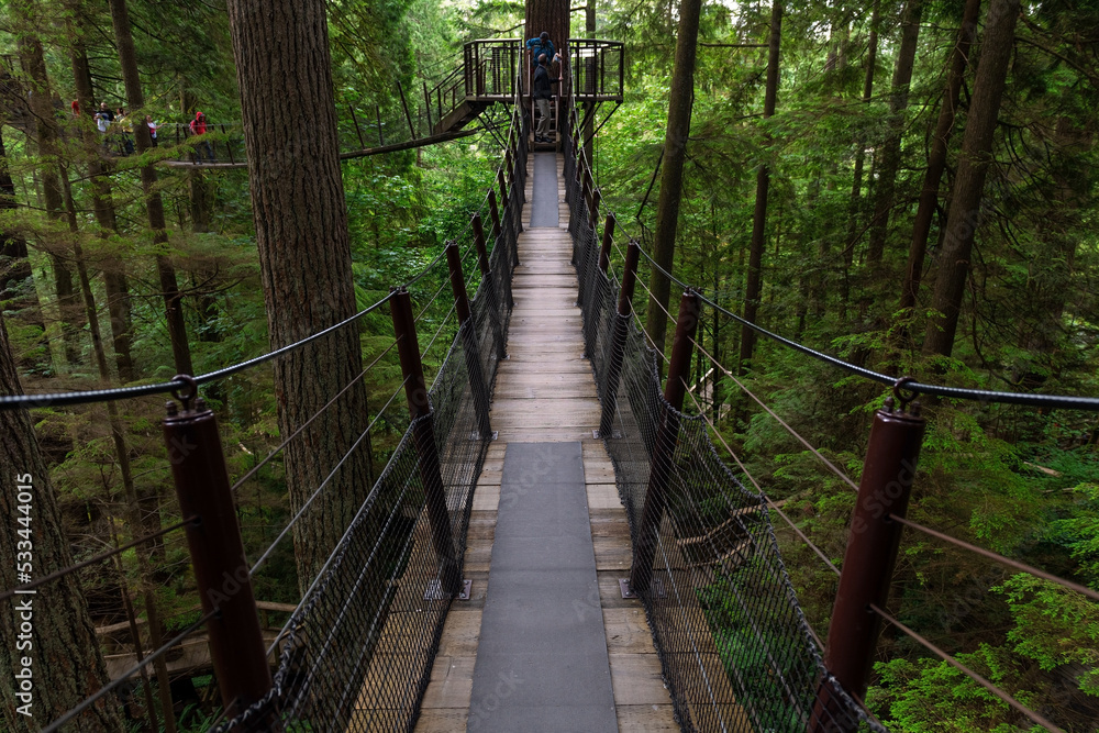 Fototapeta premium Hanging bridges inside Capilano Suspension Bridge Park, Vancouver, British Columbia, Canada.
