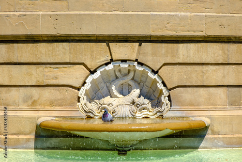 Piccione si rinfresca in una fontana di Plaza del Castillo, Pamplona, Navarra, Spagna photo