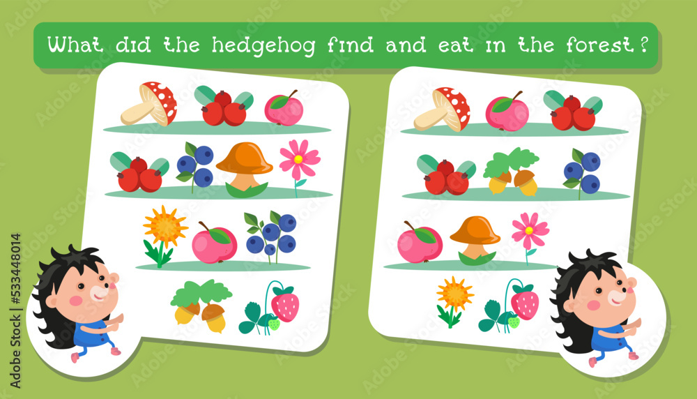 Fototapeta premium Educational game for children. Find the differences. Activities for children. Vector illustration. Hedgehog and food. 