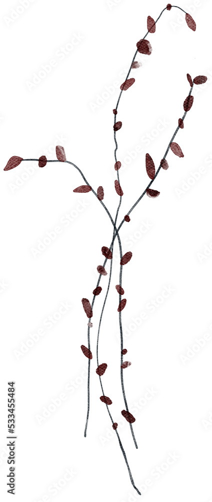 Watercolor winter abstract delicate twig illustration. Fragile Christmas botanical floral branch leaf