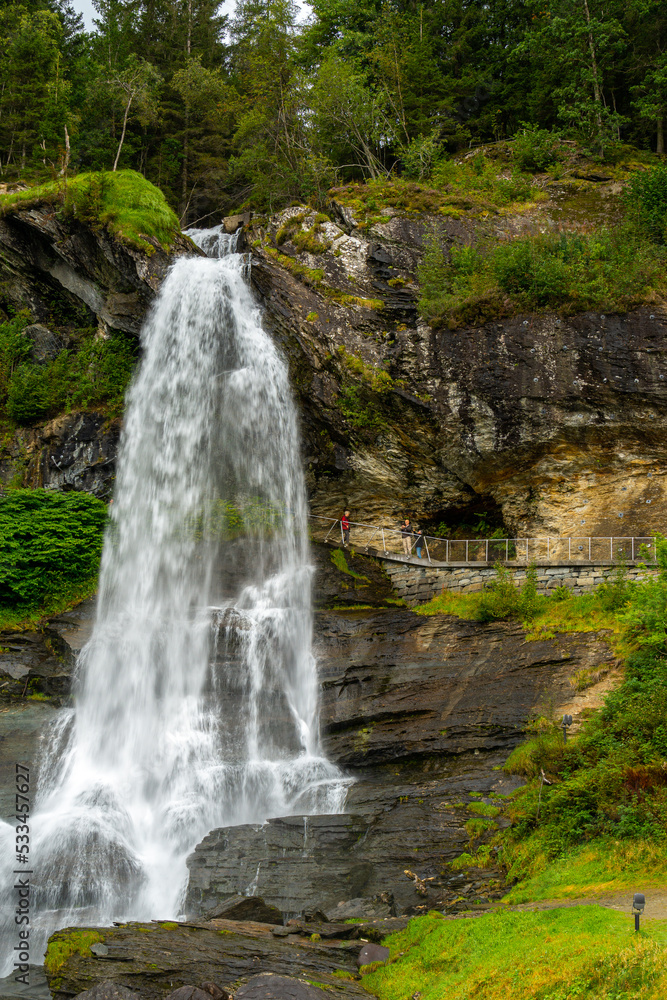 Obraz premium waterfall in the forest