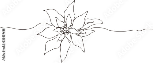 modern flower of poinsettia, leaves. Continuous one line drawing in minimal style. symbol of winter flowers (poinsettia). art element for exotic poster, banner, Wallpaper, print. illustration
