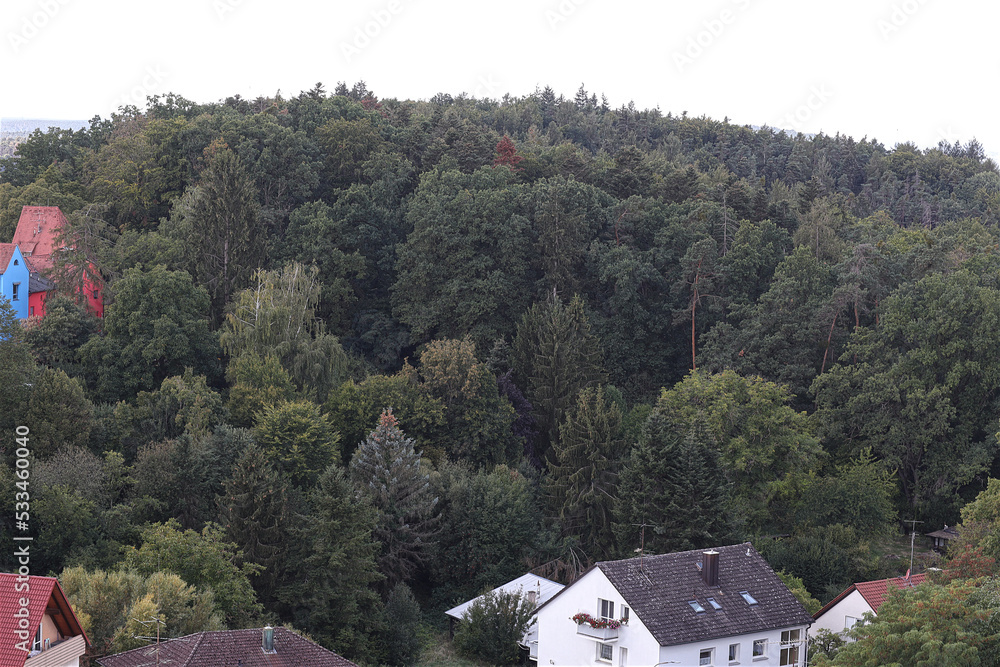 Cadolzburg, Dillenberg, Wald, Aussicht, Berg, Franken, Bäume Cadolzburg, Dillenberg, Wald, Aussicht, Berg, Franken, Bäume