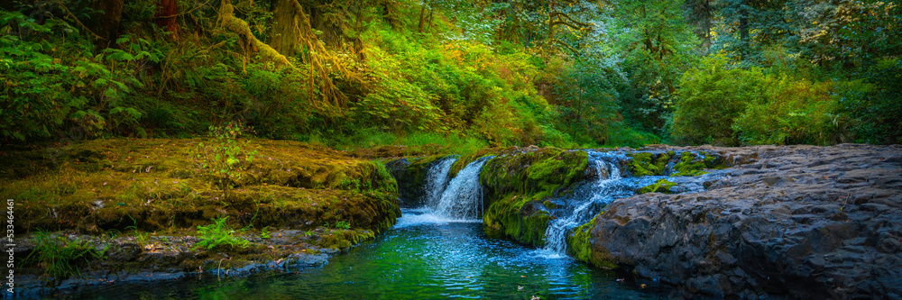 Obraz premium Waterfall in the autumn rainforest of Silver Falls State Park, Oregon