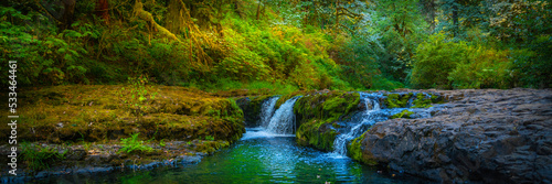 Waterfall in the autumn rainforest of Silver Falls State Park  Oregon